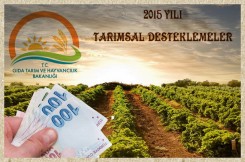 TARIMSAL DESTEKLEMELER 2015